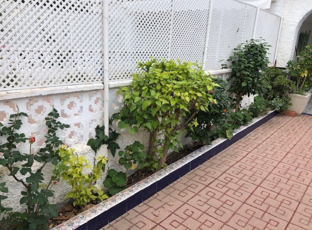 Venta - Duplex - Los Alcázares