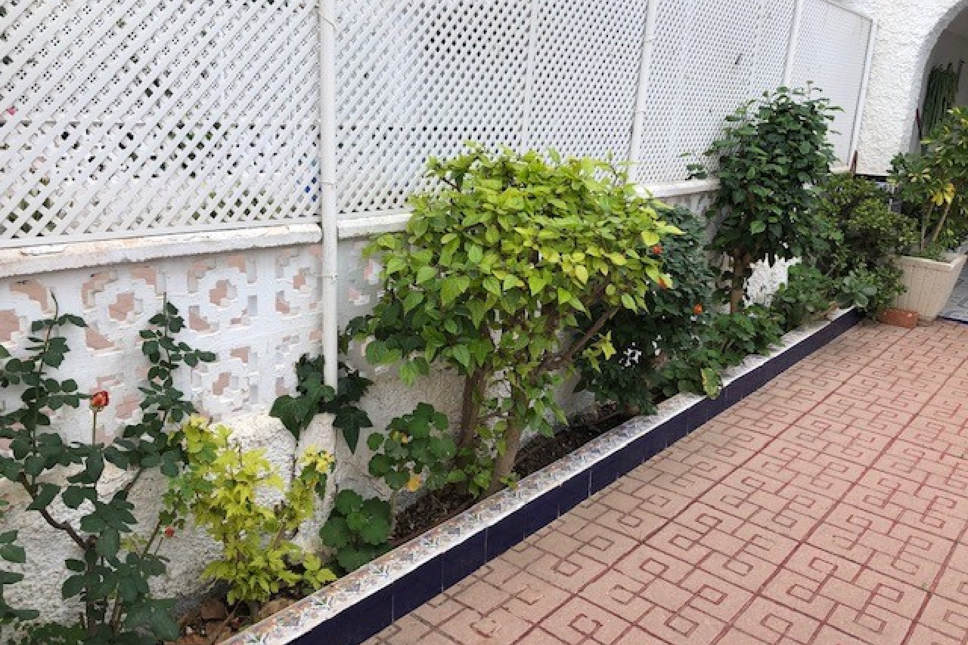 Venta - Duplex - Los Alcázares