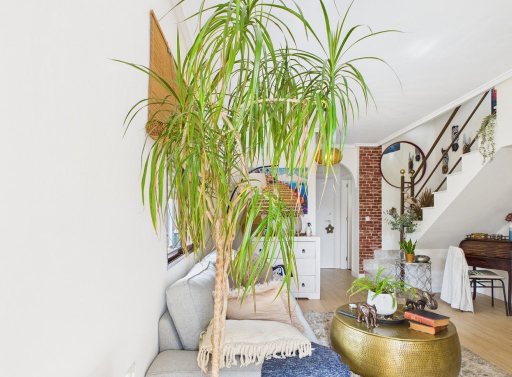 Venta - Duplex - Los Alcázares