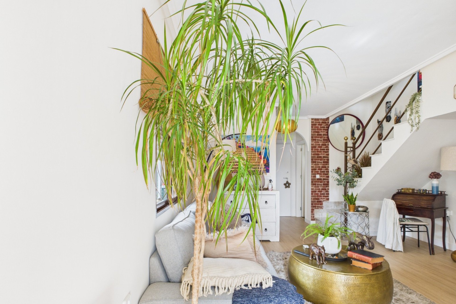 Venta - Duplex - Los Alcázares