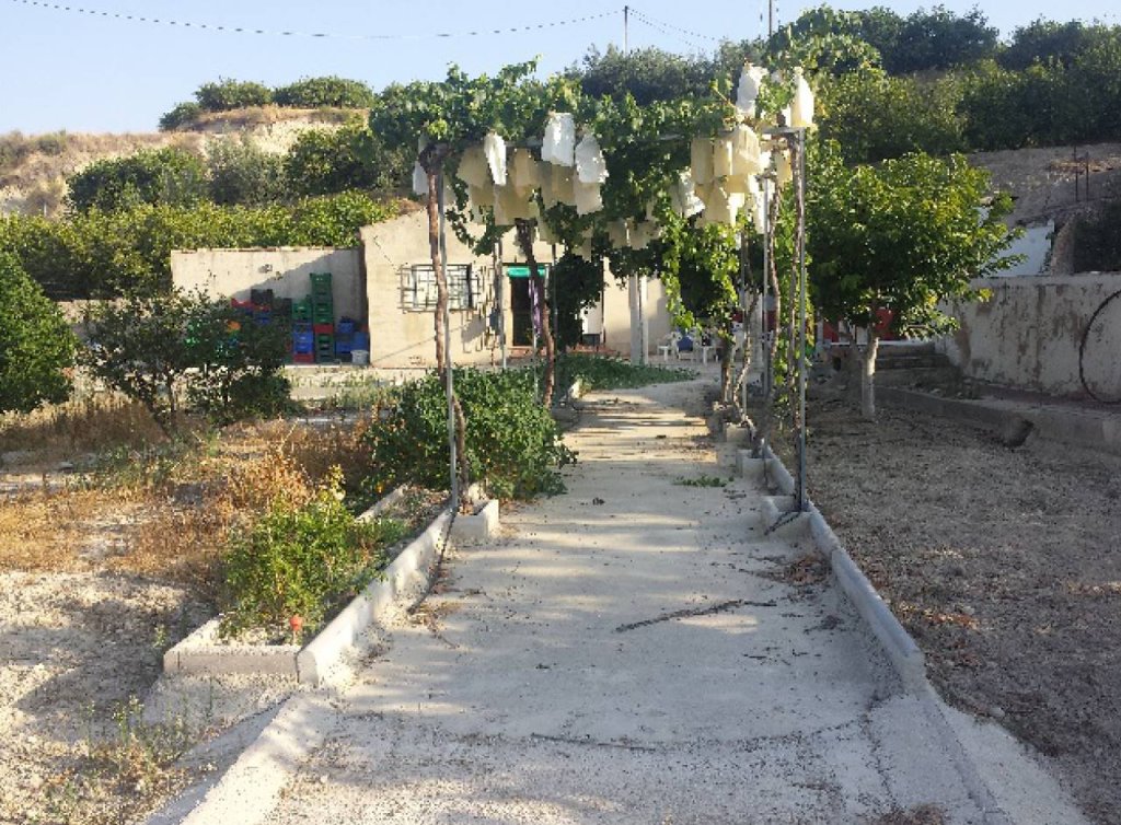 Venta - Parcela/Terreno - Mula