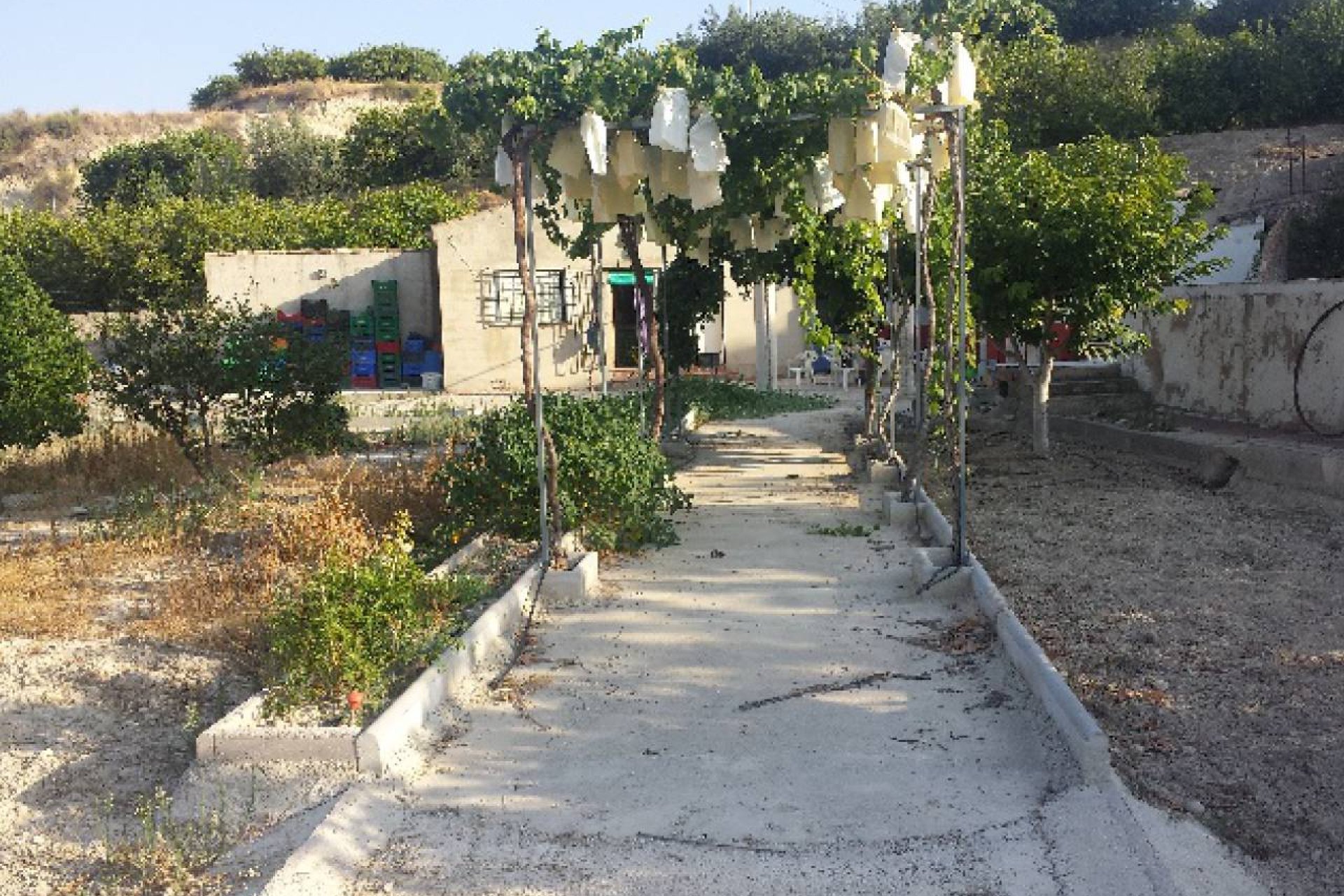 Venta - Parcela/Terreno - Mula