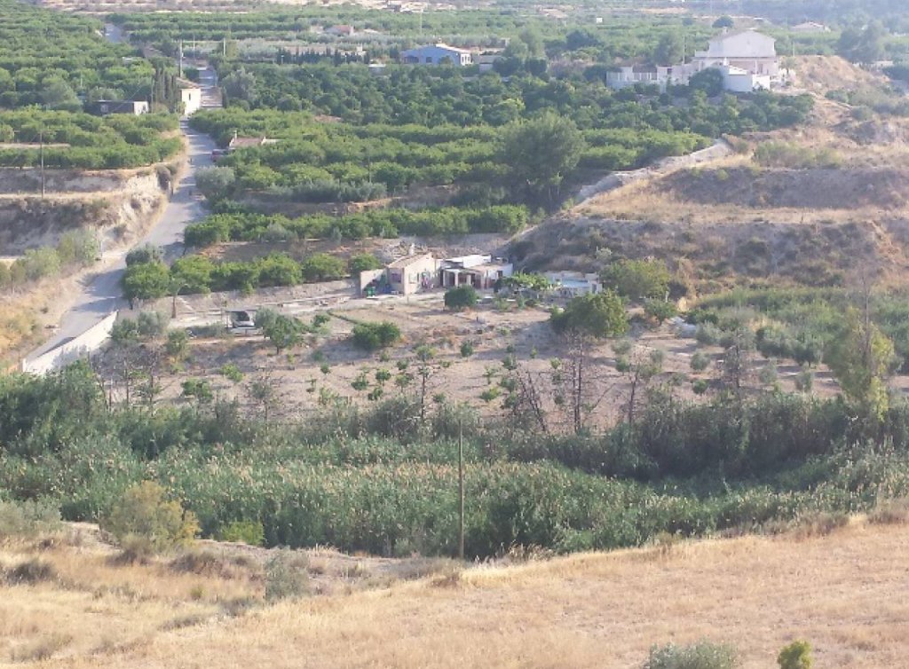 Venta - Parcela/Terreno - Mula