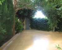 Venta - Planta baja - Los Alcázares - Oasis