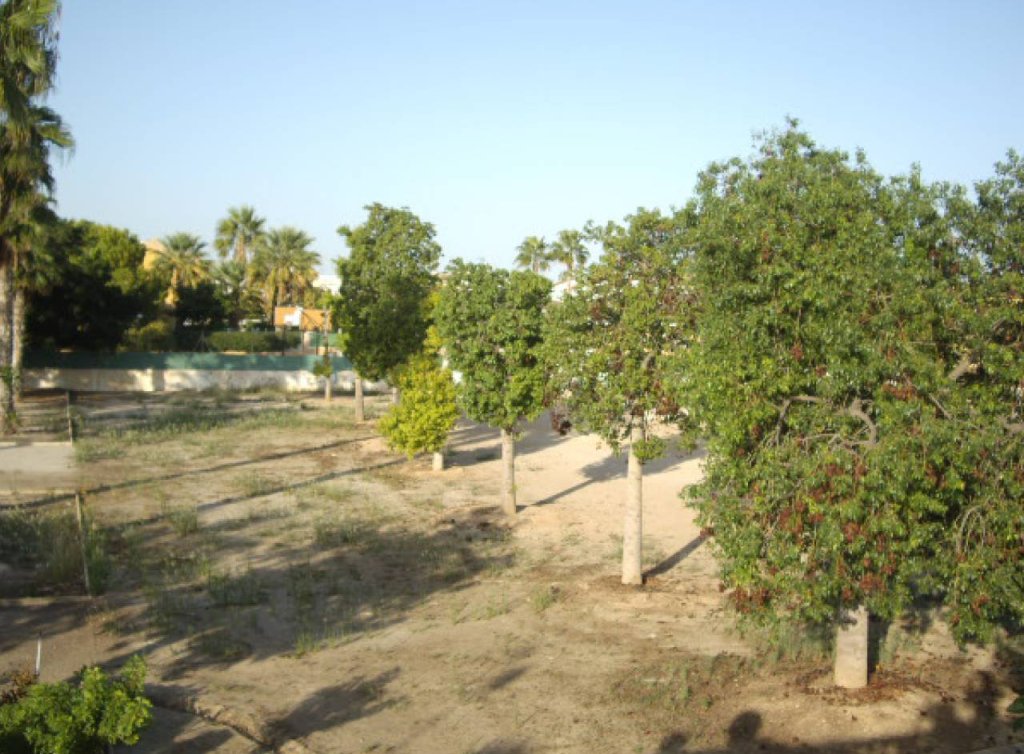 Venta - Planta baja - Los Alcázares - 