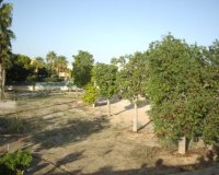 Venta - Planta baja - Los Alcázares - 