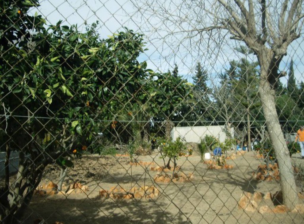 Venta - Plot of Land - Los Alcázares