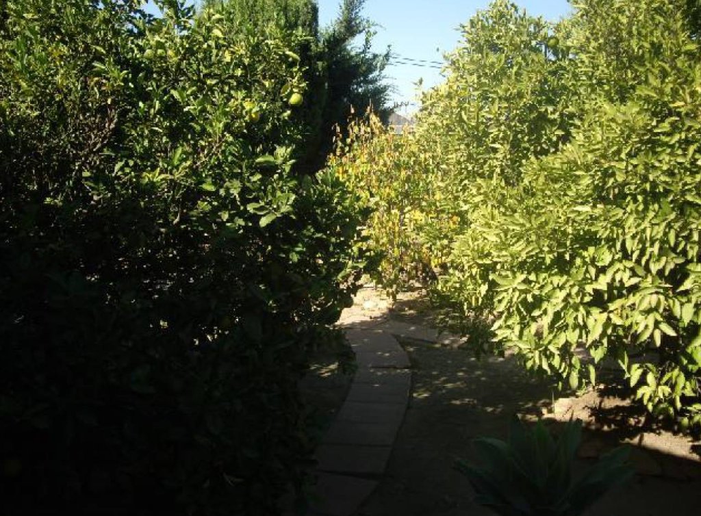 Venta -  - Roda