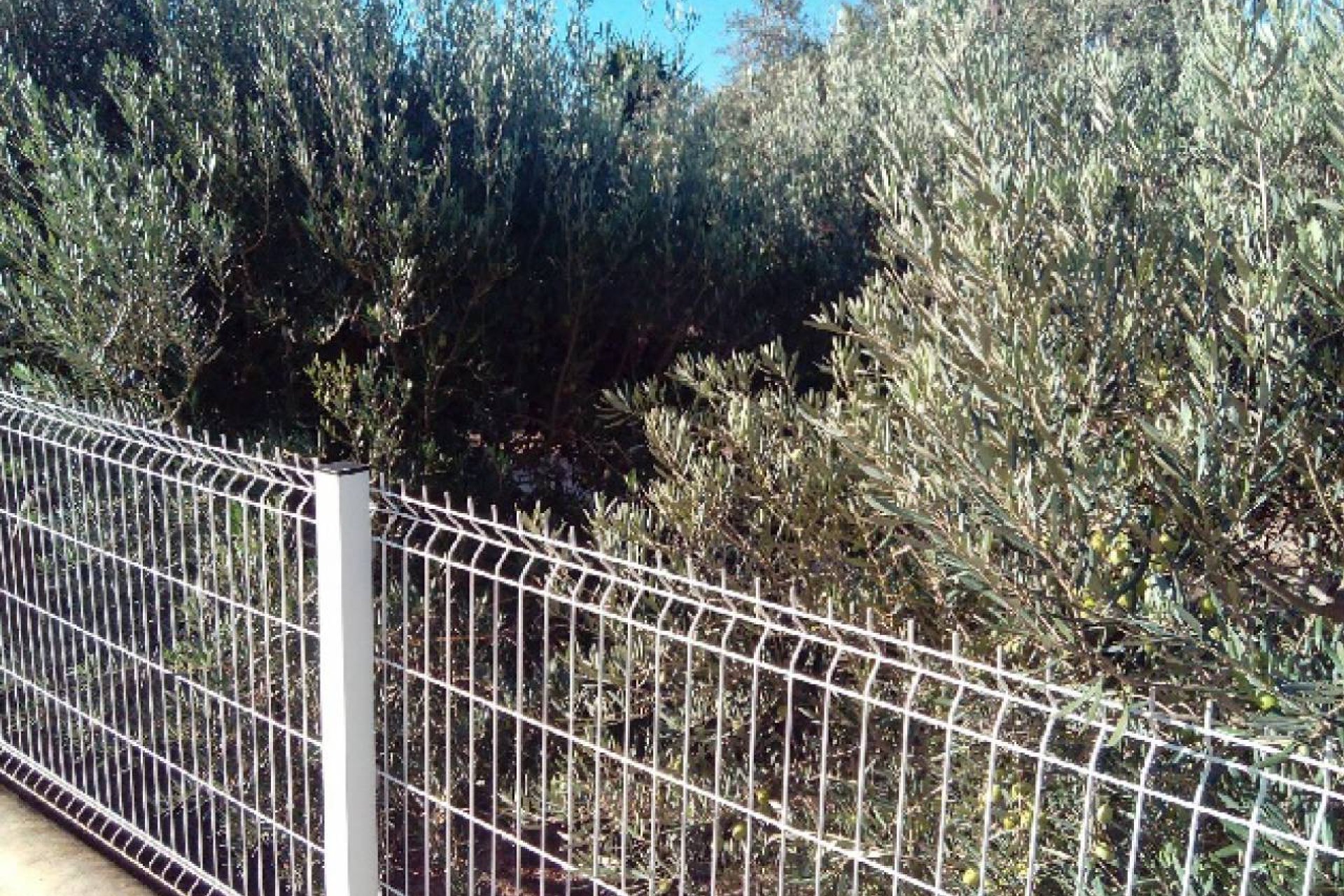Venta -  - Valle del Sol